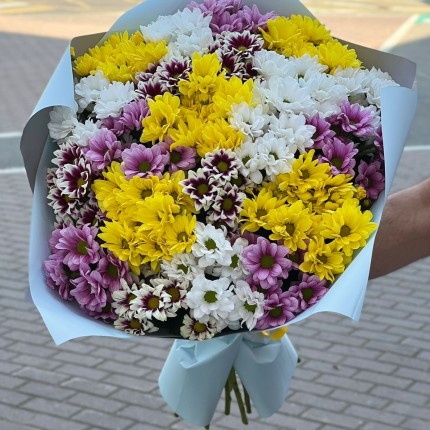Букет из разноцветных хризантем - купить с доставкой в Казани